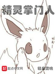 （精灵宝可梦同人）精灵掌门人